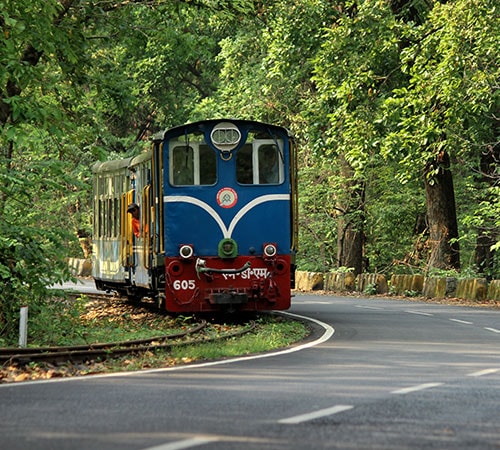 Trip to Exotic Eastern Himalaya