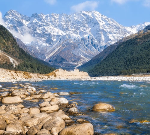 Valley of Flowers Yumthang Darjeeling Couple tour 7 Days