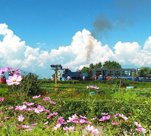 Darjeeling Tour Package