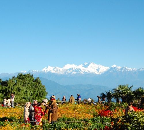 Peling Gangtok Darjeeling Tour Package