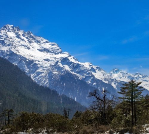 Package for Lachung Yumthang